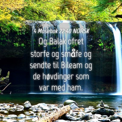 Picture 04 - 4 Mosebok 22:40 NORSK - Og Balak ofret storfe og småfe og sendte til - Bible Verse Picture