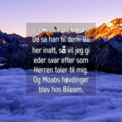 Picture 04 - 4 Mosebok 22:8 NORSK - Da sa han til dem: Bli her inatt, så vil jeg gi - Bible Verse Picture