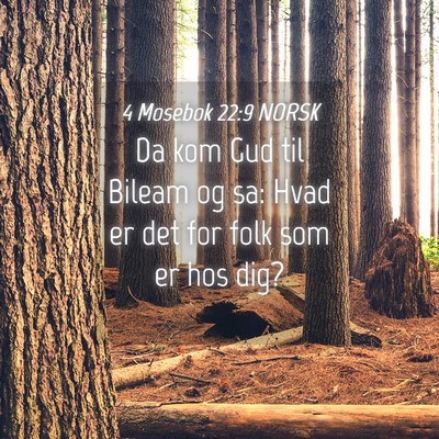 Picture 04 - 4 Mosebok 22:9 NORSK - Da kom Gud til Bileam og sa: Hvad er det for folk - Bible Verse Picture