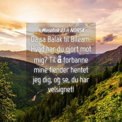 Picture 04 - 4 Mosebok 23:11 NORSK - Da sa Balak til Bileam: Hvad har du gjort mot - Bible Verse Picture