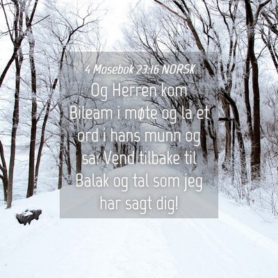 Picture 04 - 4 Mosebok 23:16 NORSK - Og Herren kom Bileam i møte og la et ord i hans - Bible Verse Picture
