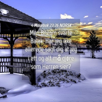 Picture 04 - 4 Mosebok 23:26 NORSK - Men Bileam svarte Balak: Har jeg ikke allerede - Bible Verse Picture