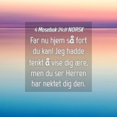 Picture 04 - 4 Mosebok 24:11 NORSK - Far nu hjem så fort du kan! Jeg hadde tenkt å - Bible Verse Picture