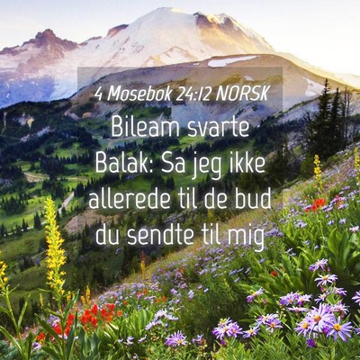 Picture 04 - 4 Mosebok 24:12 NORSK - Bileam svarte Balak: Sa jeg ikke allerede til de - Bible Verse Picture