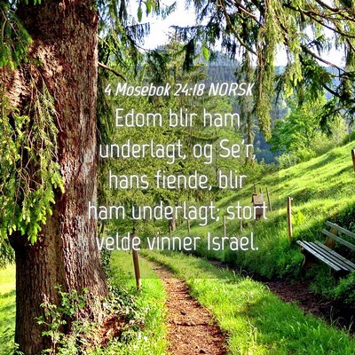 Picture 04 - 4 Mosebok 24:18 NORSK - Edom blir ham underlagt, og Se'r, hans fiende, - Bible Verse Picture