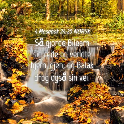 Picture 04 - 4 Mosebok 24:25 NORSK - Så gjorde Bileam sig rede og vendte hjem igjen; - Bible Verse Picture