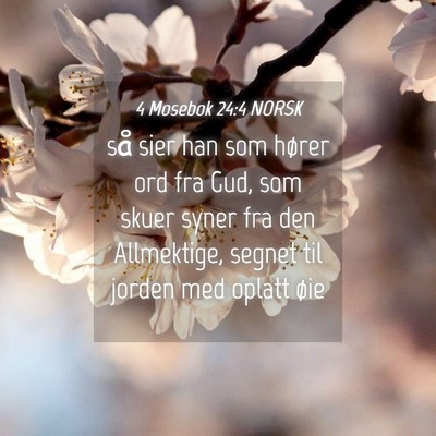 Picture 04 - 4 Mosebok 24:4 NORSK - så sier han som hører ord fra Gud, som skuer - Bible Verse Picture