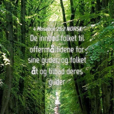 Picture 04 - 4 Mosebok 25:2 NORSK - De innbød folket til offermåltidene for sine - Bible Verse Picture