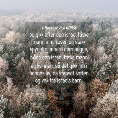 Picture 04 - 4 Mosebok 25:8 NORSK - og gikk efter den israelittiske mann inn i koven - Bible Verse Picture