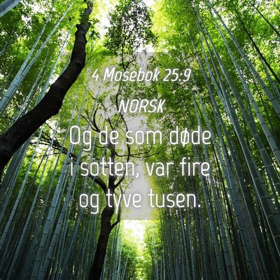 Picture 04 - 4 Mosebok 25:9 NORSK - Og de som døde i sotten, var fire og tyve - Bible Verse Picture