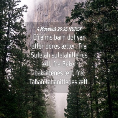 Picture 04 - 4 Mosebok 26:35 NORSK - Efra'ms barn det var efter deres ætter: Fra - Bible Verse Picture
