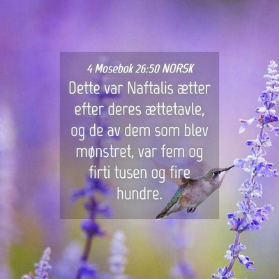 Picture 04 - 4 Mosebok 26:50 NORSK - Dette var Naftalis ætter efter deres ættetavle, - Bible Verse Picture