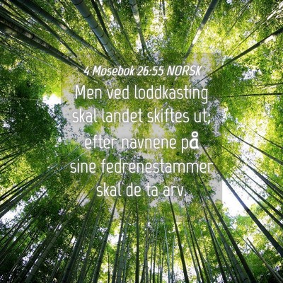 Picture 04 - 4 Mosebok 26:55 NORSK - Men ved loddkasting skal landet skiftes ut; efter - Bible Verse Picture