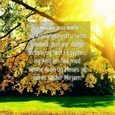 Picture 04 - 4 Mosebok 26:59 NORSK - og Amrams hustru hette Jokebed; hun var datter av - Bible Verse Picture