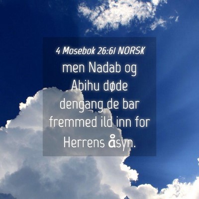 Picture 04 - 4 Mosebok 26:61 NORSK - men Nadab og Abihu døde dengang de bar fremmed - Bible Verse Picture