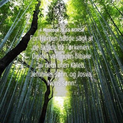Picture 04 - 4 Mosebok 26:65 NORSK - For Herren hadde sagt at de skulde dø i - Bible Verse Picture