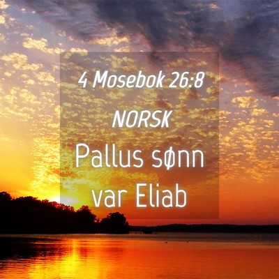 Picture 04 - 4 Mosebok 26:8 NORSK - Pallus sønn var - Bible Verse Picture