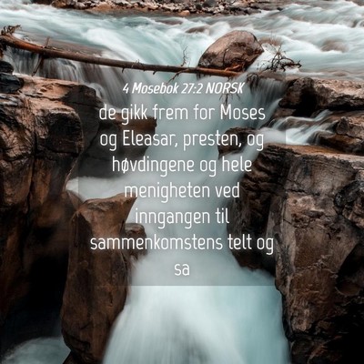 Picture 04 - 4 Mosebok 27:2 NORSK - de gikk frem for Moses og Eleasar, presten, og - Bible Verse Picture