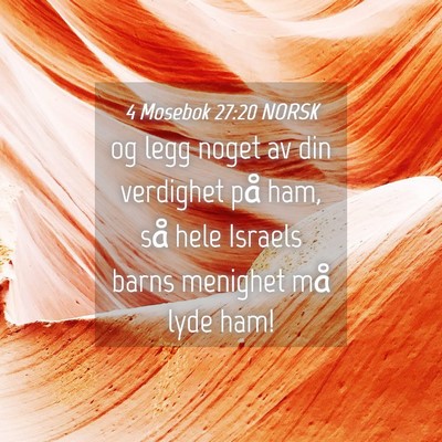 Picture 04 - 4 Mosebok 27:20 NORSK - og legg noget av din verdighet på ham, så hele - Bible Verse Picture