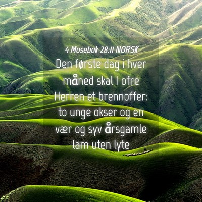 Picture 04 - 4 Mosebok 28:11 NORSK - Den første dag i hver måned skal I ofre Herren - Bible Verse Picture