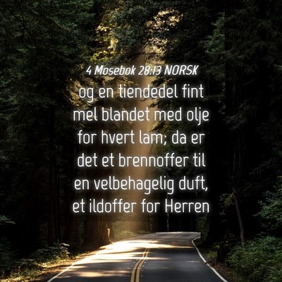 Picture 04 - 4 Mosebok 28:13 NORSK - og en tiendedel fint mel blandet med olje for - Bible Verse Picture