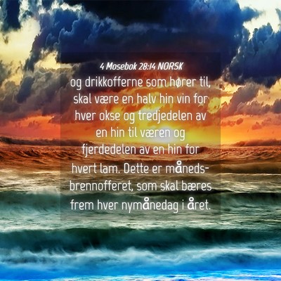 Picture 04 - 4 Mosebok 28:14 NORSK - og drikkofferne som hører til, skal være en - Bible Verse Picture