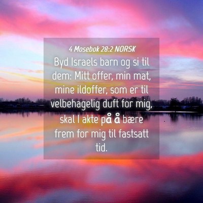 Picture 04 - 4 Mosebok 28:2 NORSK - Byd Israels barn og si til dem: Mitt offer, min - Bible Verse Picture