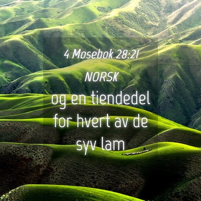 Picture 04 - 4 Mosebok 28:21 NORSK - og en tiendedel for hvert av de syv - Bible Verse Picture