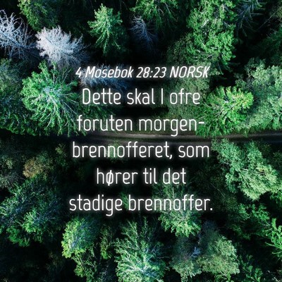 Picture 04 - 4 Mosebok 28:23 NORSK - Dette skal I ofre foruten morgen-brennofferet, - Bible Verse Picture
