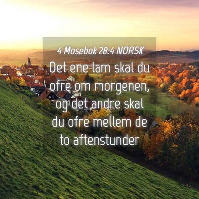 Picture 04 - 4 Mosebok 28:4 NORSK - Det ene lam skal du ofre om morgenen, og det - Bible Verse Picture