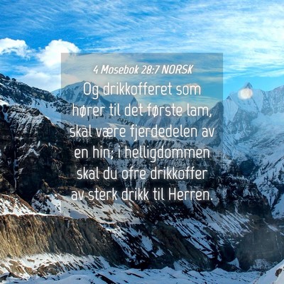 Picture 04 - 4 Mosebok 28:7 NORSK - Og drikkofferet som hører til det første lam, - Bible Verse Picture