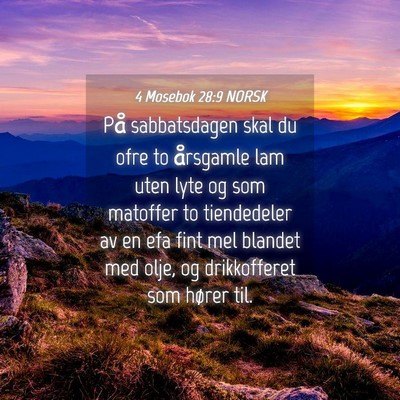 Picture 04 - 4 Mosebok 28:9 NORSK - På sabbatsdagen skal du ofre to årsgamle lam - Bible Verse Picture