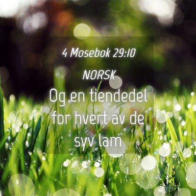 Picture 04 - 4 Mosebok 29:10 NORSK - Og en tiendedel for hvert av de syv - Bible Verse Picture