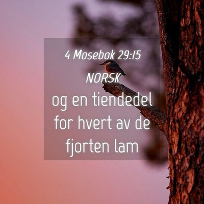 Picture 04 - 4 Mosebok 29:15 NORSK - og en tiendedel for hvert av de fjorten - Bible Verse Picture