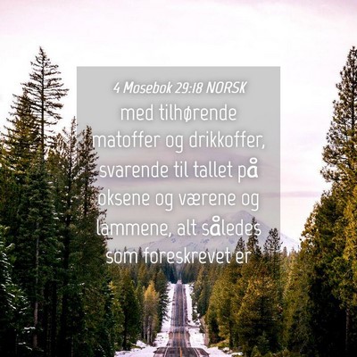 Picture 04 - 4 Mosebok 29:18 NORSK - med tilhørende matoffer og drikkoffer, svarende - Bible Verse Picture