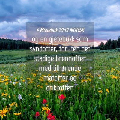 Picture 04 - 4 Mosebok 29:19 NORSK - og en gjetebukk som syndoffer, foruten det - Bible Verse Picture