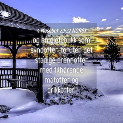 Picture 04 - 4 Mosebok 29:22 NORSK - og en gjetebukk som syndoffer, foruten det - Bible Verse Picture