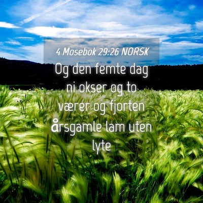Picture 04 - 4 Mosebok 29:26 NORSK - Og den femte dag ni okser og to værer og fjorten - Bible Verse Picture