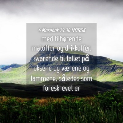 Picture 04 - 4 Mosebok 29:30 NORSK - med tilhørende matoffer og drikkoffer, svarende - Bible Verse Picture