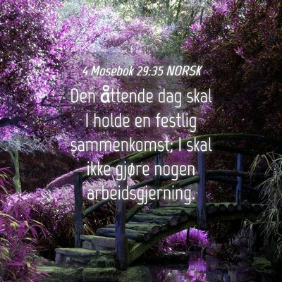 Picture 04 - 4 Mosebok 29:35 NORSK - Den åttende dag skal I holde en festlig - Bible Verse Picture