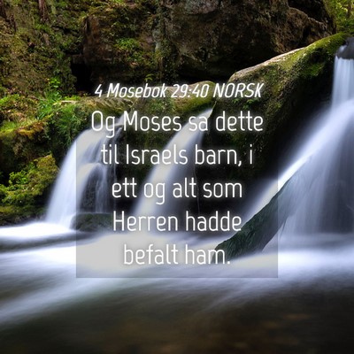 Picture 04 - 4 Mosebok 29:40 NORSK - Og Moses sa dette til Israels barn, i ett og alt - Bible Verse Picture
