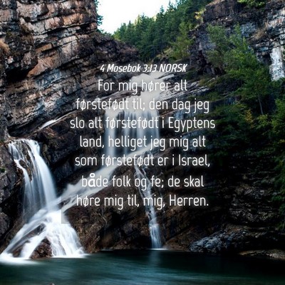 Picture 04 - 4 Mosebok 3:13 NORSK - For mig hører alt førstefødt til; den dag jeg - Bible Verse Picture