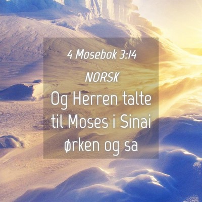 Picture 04 - 4 Mosebok 3:14 NORSK - Og Herren talte til Moses i Sinai ørken og - Bible Verse Picture