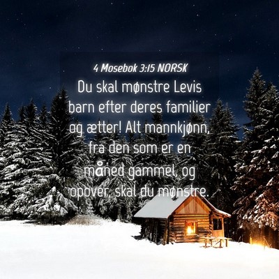 Picture 04 - 4 Mosebok 3:15 NORSK - Du skal mønstre Levis barn efter deres familier - Bible Verse Picture