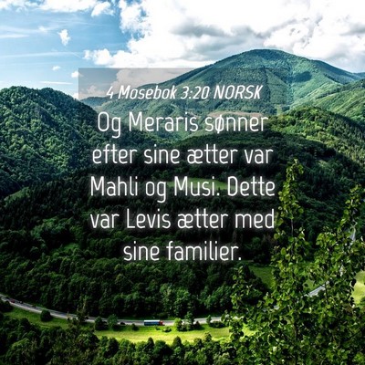 Picture 04 - 4 Mosebok 3:20 NORSK - Og Meraris sønner efter sine ætter var Mahli og - Bible Verse Picture