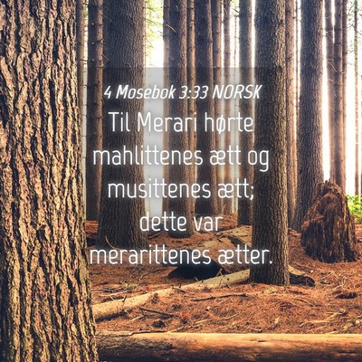 Picture 04 - 4 Mosebok 3:33 NORSK - Til Merari hørte mahlittenes ætt og musittenes - Bible Verse Picture