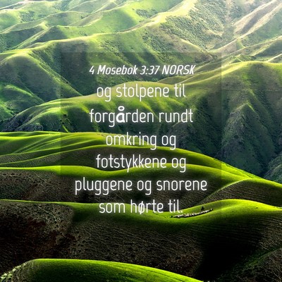Picture 04 - 4 Mosebok 3:37 NORSK - og stolpene til forgården rundt omkring og - Bible Verse Picture