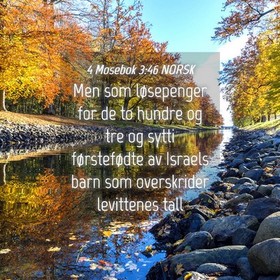 Picture 04 - 4 Mosebok 3:46 NORSK - Men som løsepenger for de to hundre og tre og - Bible Verse Picture