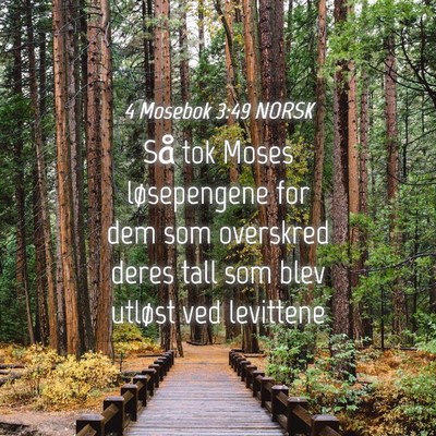 Picture 04 - 4 Mosebok 3:49 NORSK - Så tok Moses løsepengene for dem som overskred - Bible Verse Picture
