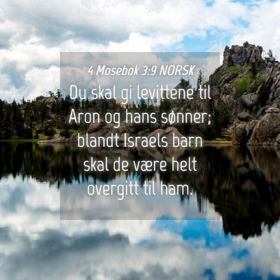 Picture 04 - 4 Mosebok 3:9 NORSK - Du skal gi levittene til Aron og hans sønner; - Bible Verse Picture